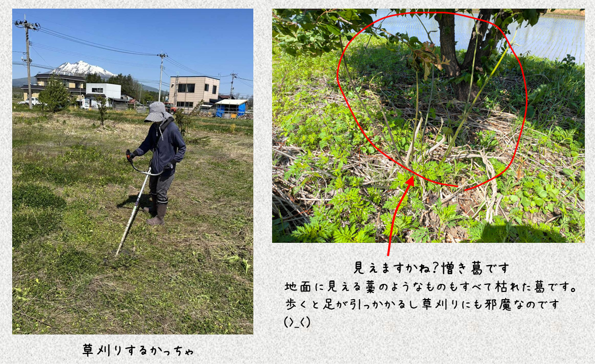 写真１.png