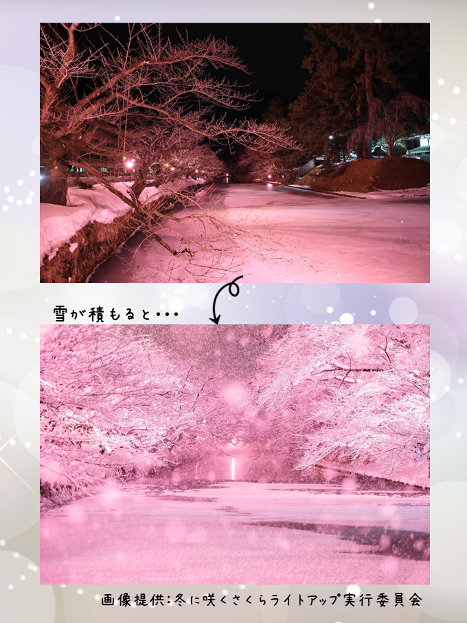 プレゼンテーション1.png