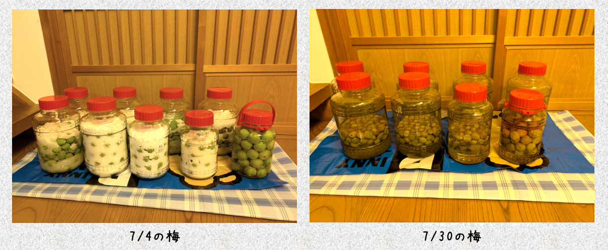 写真３.png