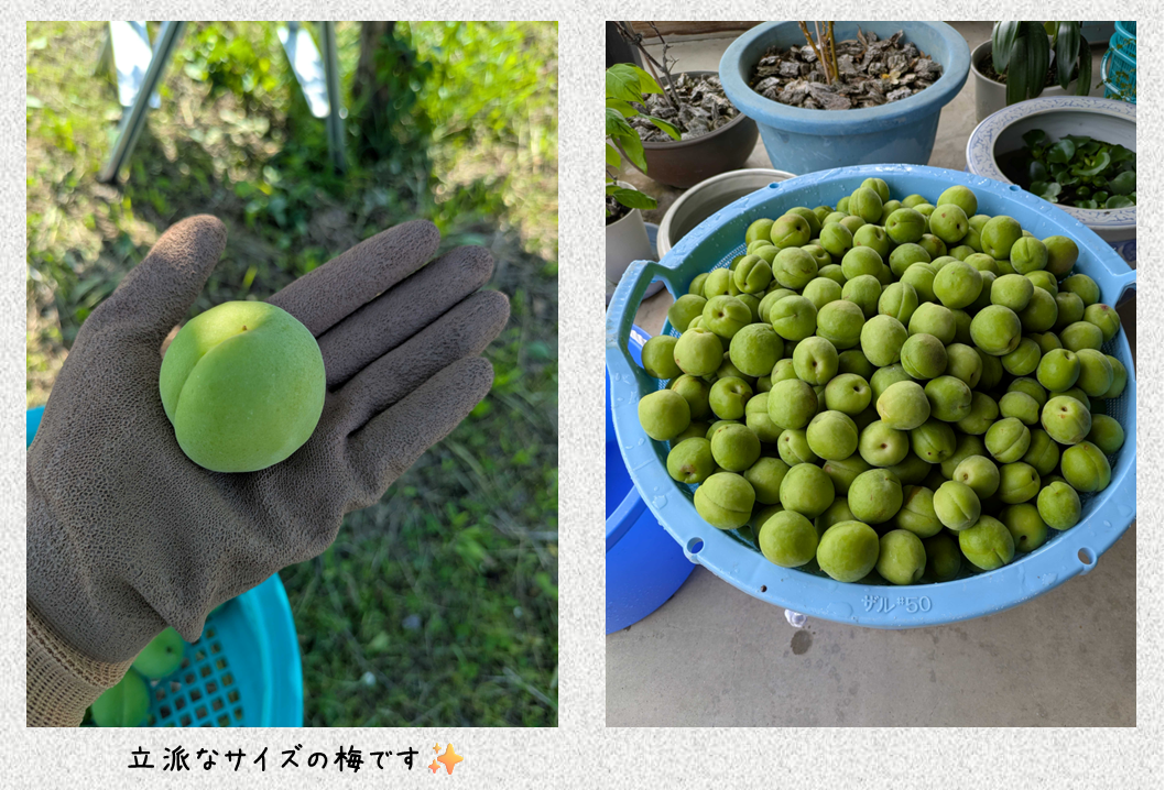 写真2 (1).png