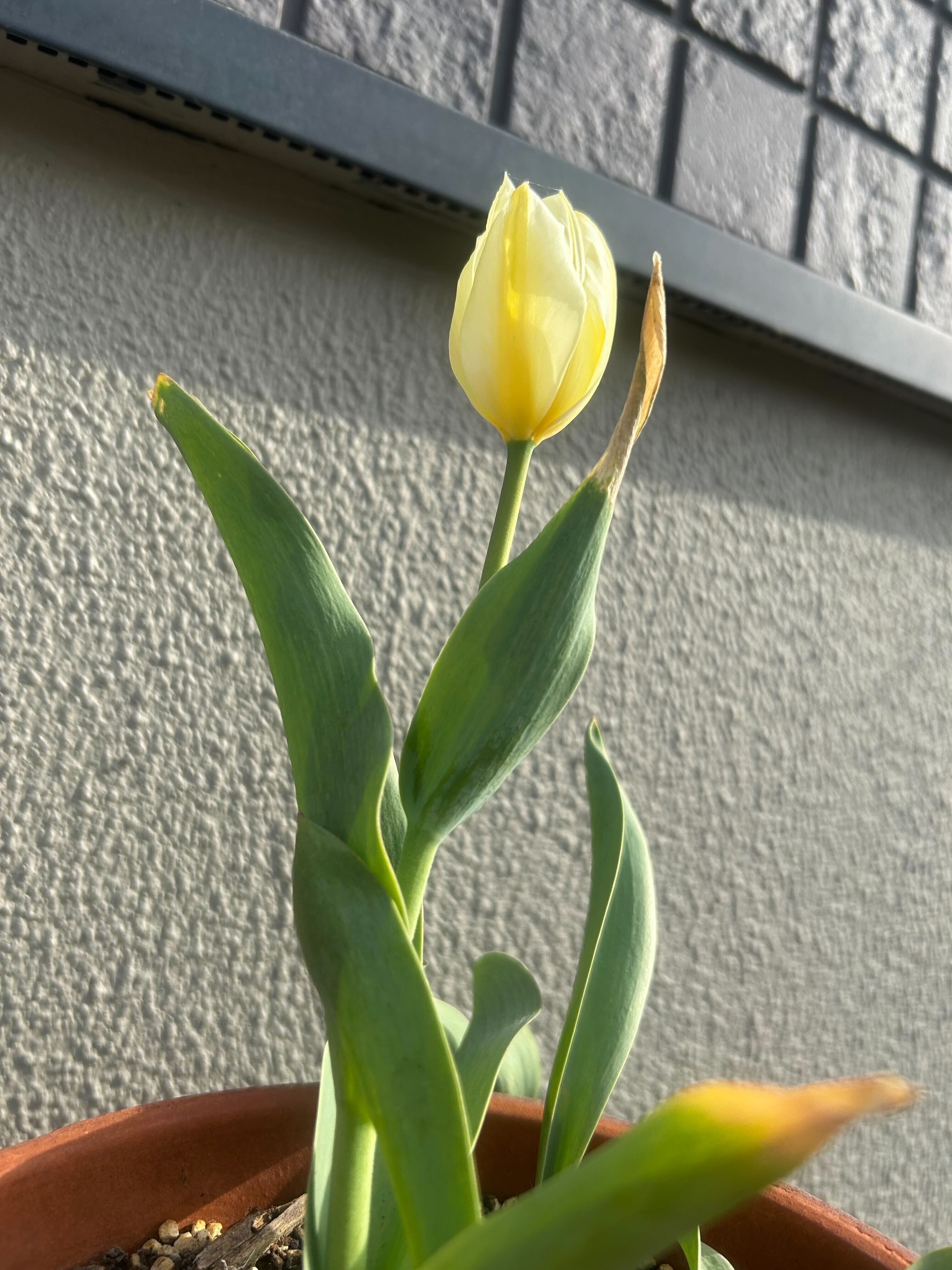 画像2_八戸ブログ４月.jpg