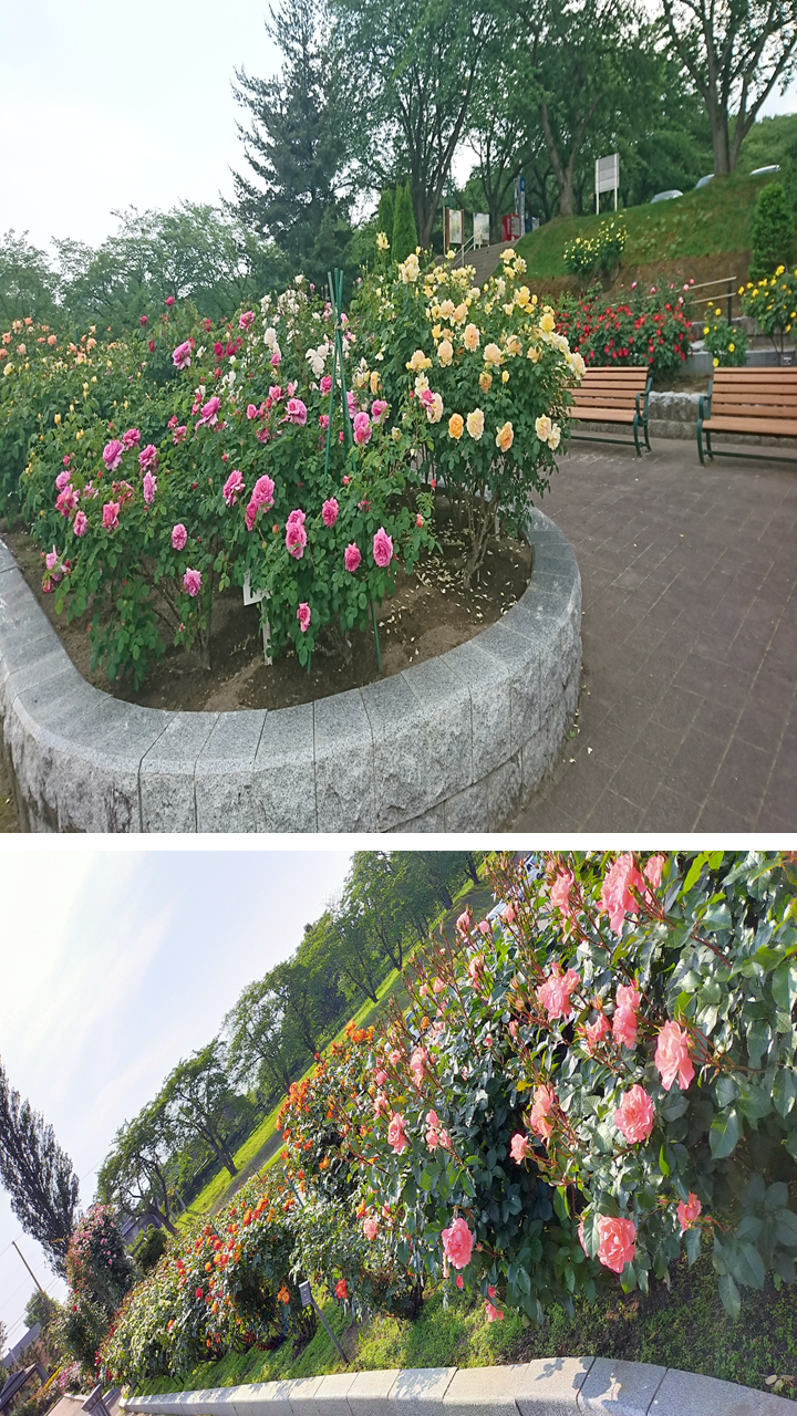 画像④.png